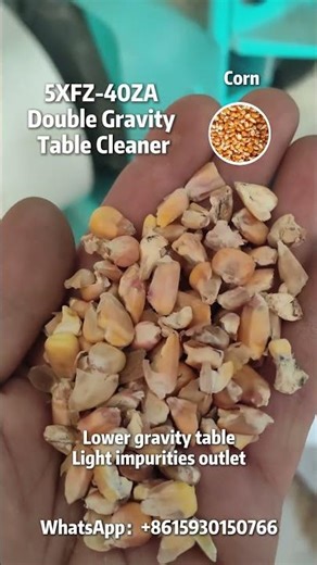 🌽 5XFZ-40ZA: Top-Tier Maize Cleaning Machine for Grain Processing Plants!#maize #seedcleaning