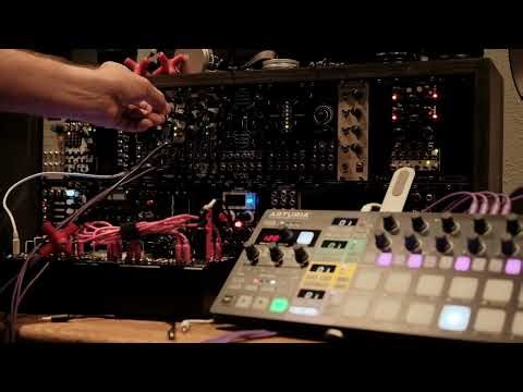 Eurorack Slaps | Making a beat using only Basimilus Iteritas Alter