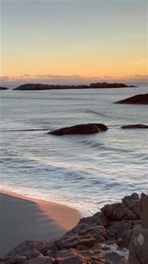 Fluefiske etter stor sjøørretNorges fjorder #fishingvideo #fluefiske #flyfishing #seatroutfishing