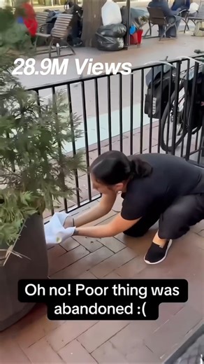 Lucknow Jankipuram Best Momos #foodie #lucknow #foodreview #food