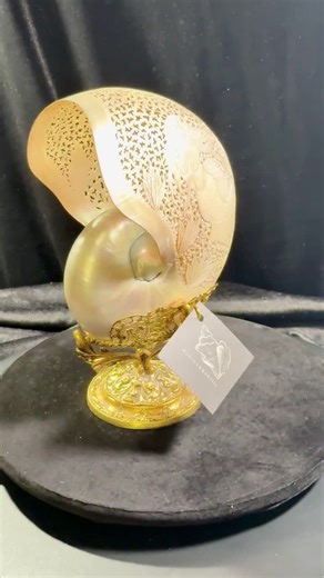 Carved Pearlized Nautilus Shell: Sea Turtle & Mermaid Design, Vintage Gold Pedestal - Etsy
