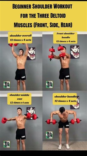 Beginner Shoulder Workout for All 3 Deltoid Muscles 🏋️‍♂️💪💯