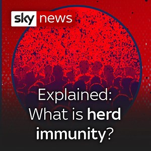 99K views · 747 reactions | Around 60% of the UK's population of 66.4 million will need to become infected with #coronavirus for herd immunity to be achieved. So what is herd immunity? And how will it help prevent spread of #COVID19? Read more here: https://trib.al/XdYfbr2 | Sky News | Facebook