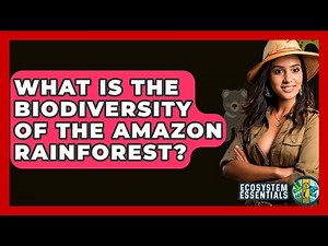 What Is The Biodiversity Of The Amazon Rainforest? - Ecosystem Essentials