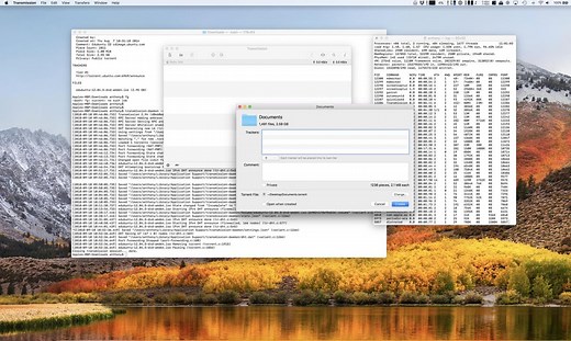How to use the command line to download BitTorrent files on macOS
