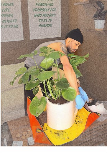 Lessons from Pain: Why Growth Requires Humility