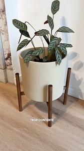 Comment transformer un cache-pot un peu trop basique ♻️ | homeinspiration_bymt