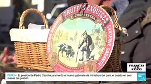 La trufa, el codiciado "diamante negro" de la gastronomía francesa