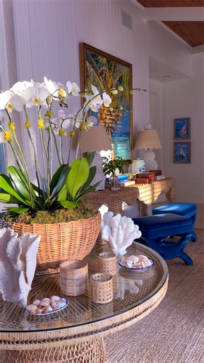 Dana Small Designs on Instagram: "KISS… …Spruce & Style Getting ready to host Thanksgiving, I like to spruce up around the house. Nothing like a big, beautiful orchid at the front door to greet all our family & friends. Check out this new woven vessel that just arrived to @matildaslifestyle both in-store and online. It’s the perfect home accessory for everyday and the holidays. LINK in my stories to get this beauty straight to your doorstep! They will go fast…. I ran out of time to DIY, so I hea