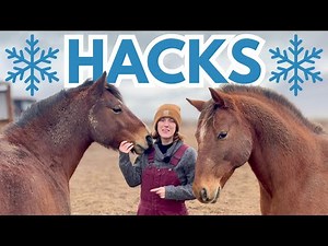 WINTER HORSE CARE HACKS (you’ve never heard of)