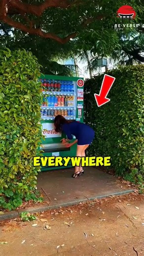 Why Japan Has Vending Machines Everywhere 🇯🇵 #japan #japaneseculture #japanfacts