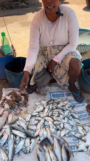 Today’s Fresh Fish Prices – Listen to the Expert #FishMarket #FreshFish #SeafoodLovers #DailyFishPrices | Sea to Street