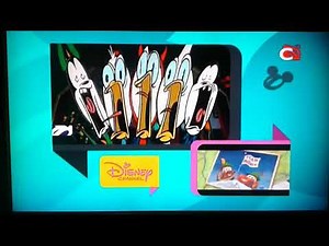 Disney Channel Asia - Split Screen Continuity (Oct. 24, 2019)