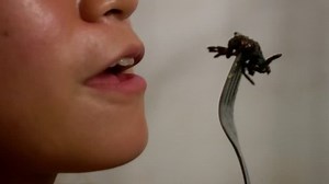 Close-up Woman Eating Spider Dinner Asian Stock Footage Video (100% Royalty-free) 1021394887 | Shutterstock