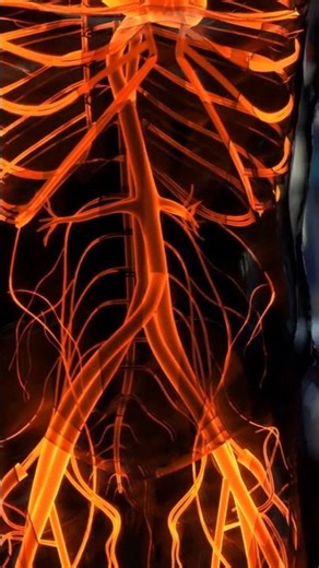 Pressors 101: Why Vasopressors Raise Blood Pressure | RN Explains 123