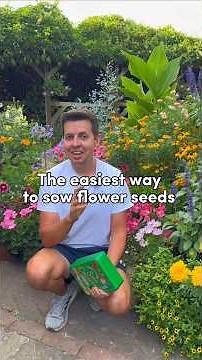 Seed starting for beginners