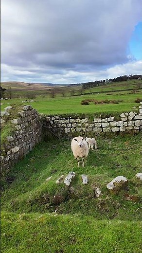 Hadrian’s Wall Turret | Roman Watchtower on Britain’s Northern Frontier