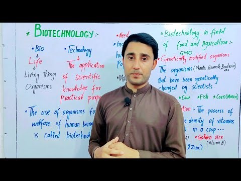 Biotechnology class 8 | Lec 1 | Genetically modified organisms(GMO), Biofortification | in pashto