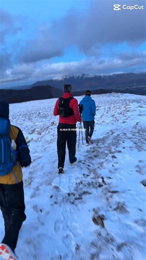 Squashed Tomato Savage Club on Instagram