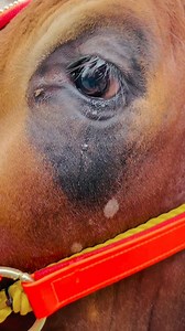 Ihre Augen sagen alles… 💔 | Kinder World - Deutschland