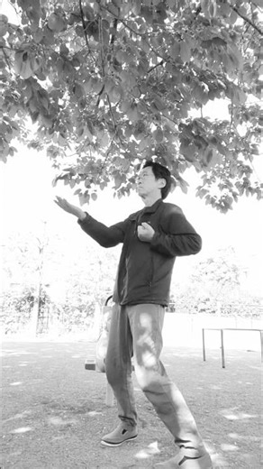詠春拳 小念頭