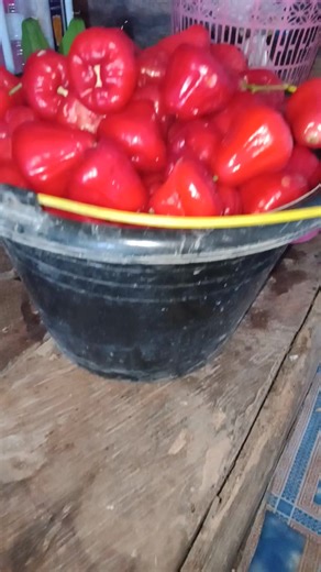 Merah merona | H R Anii