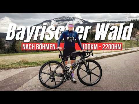 Everyone's in Mallorca - is the Bavarian Forest a hidden gem?
