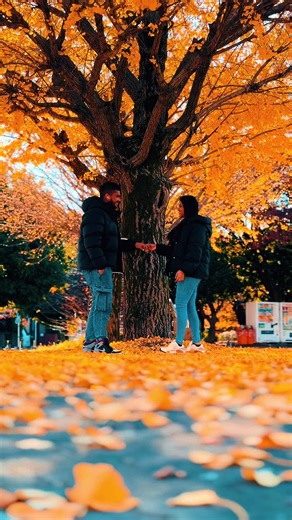 අපි අපේ විතරනම්❤️🫶😍@mahesha🇯🇵🇱🇰🧚‍♀️ #armyboy0305 #couple #foryou #fyp #fypviralシ
