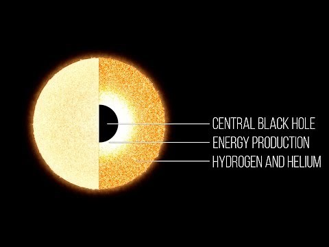 What is a Quasi-Star?