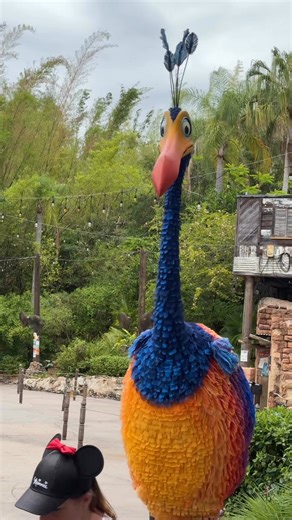 65K views · 2.1K reactions | Kevin was swaying to the music at Disney’s Animal Kingdom yesterday (and flapping her wings and vocalizing). She often is at the Discovery Island area of the park, but also walked into Asia yesterday. #pixar #pixarup #animalkingdom #disneysanimalkingdom #disneyworld #waltdisneyworld #dak #wdw #pixar #disneycharacters | Mousesteps | Facebook