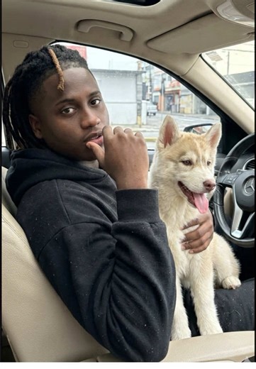 Prompt no link da bio ⚡️Como usar no Gemini 1️⃣Abra o app Google Gemini 2️⃣Selecione uma foto da sua galeria #wallpaper #fotos #ia #imagens #gemini