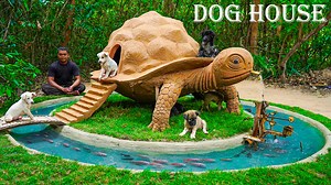 1.8K views · 47 reactions | Building Turtle House for Rescued Puppy and Fish Pond | Wilderness TV | Facebook