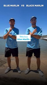 What’s harder to catch? Blue or Black Marlin? 🎣 Follow for more fishing advice from Ocean Blue Fishing! | Ocean Blue Fishing Adventures