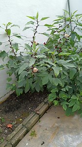 Winnie Tang on Reels