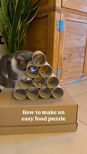 25K views · 2.9K reactions | The most easy diy puzzle to keep your cat busy for a while! It’s a beginner puzzle so even the pickiest kitties can enjoy it ✨ #diy #craft #puzzle #catmom #cat #catpuzzle #catlife #catsofinstagram #catlover #easydiy #pyramid #furkids #pets #tp #toiletpaperrolls #paper #paperroll #gato #gatto #rotoli #cartaigenica #piramide #rotolini #easygame #cattoy #alberodinatale #christmastree #christmasgame #christmasgifts #catchristmas | The Fantastic Furr | Facebook
