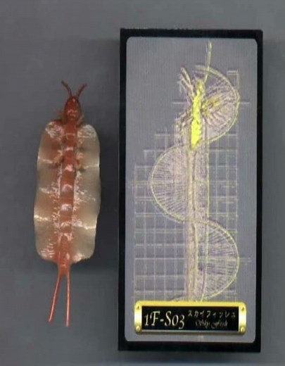 Cryptids #4 - Rods or "Skyfish"