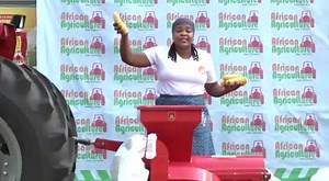 6.5K views · 205 reactions | TGIF ~ Our PTO driven Maize Thresher is...