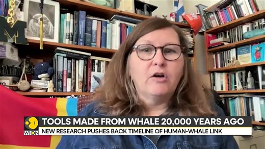 20,000-year-old whale bone tools have been discovered in Spain and France, revealing human-whale interactions from 20,000 years ago Eric Njoka brings you this report | WION