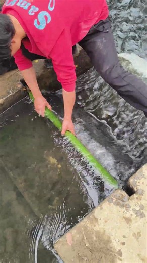 Idea Times (@idea_times25)’s videos with The Sound of Distant Thunder - Webster Pouros