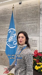 Visit FAO HQ in the heart of #Rome! A one-hour guided group tour offers an exciting opportunity for visitors to learn all about our mandate, work, history and art collection. Come and discover the most iconic rooms where Members and leaders from around the world meet. Our young and vibrant team is excited to welcome you. Book your group tour 👉 https://www.fao.org/about/visit-us/book-your-visit/en | Food and Agriculture Organization of the United Nations (FAO)