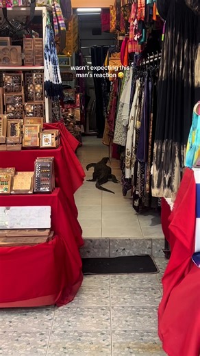 Monitor Lizard Goes Shopping: A Hilarious Encounter