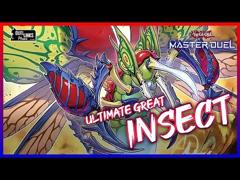 The Ultimate Great INSECT Deck! [Yu-Gi-Oh! Master Duel]