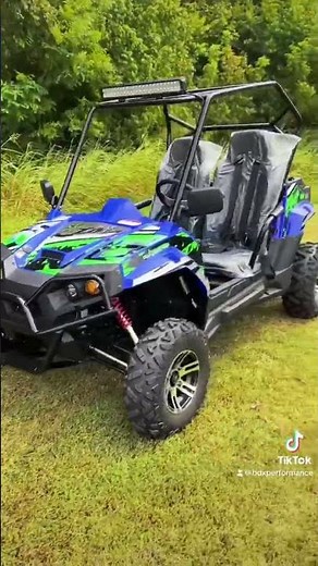 Trailmaster Challenger 300EX in action!