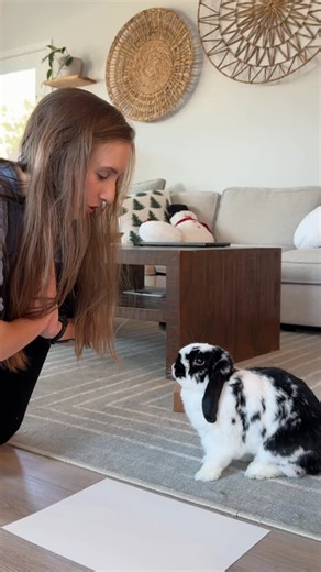 Denzel, Leo, Sully, Tink, and Lexi 🤍 on Instagram: "Clean up on aisle 4 👀 #pawprints #pawprintart #diyproject #diyart #bunnyart"