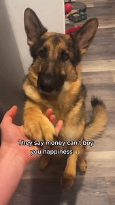 Can’t argue with that logic… | Best Boy Benson