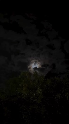 🖤🚶🏻‍♂️ on Instagram: "Delale delale ..🖤 . . . #explore #fyp #viral #explorepage #music"