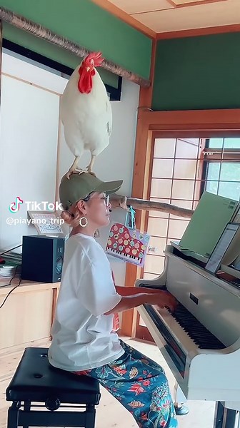 ひっこぬかーれて #にわとりのいる暮らし #にわとり #piano #ピクミン