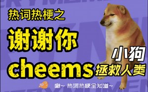 cheems狗是什么意思？谢谢你cheems是什么梗？