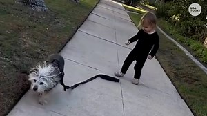 Actual footage of us trying to make it to the end of the year! | USA TODAY Video