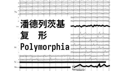 【曲谱同步/4K】复形 - 潘德列茨基（Polymorphia）